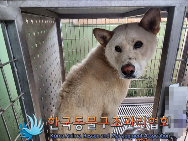한국동물구조관리협회_411315202300406